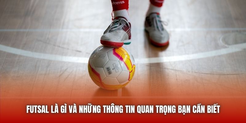 Futsal Là Gì Và Những Thông Tin Quan Trọng Bạn Cần Biết